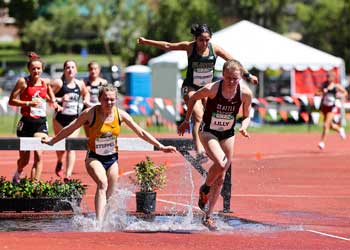 gnac steeplechase