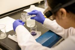 A student conducts a science experiment