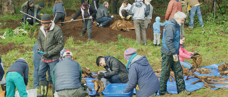 Whale retrieval by a group of students and community members