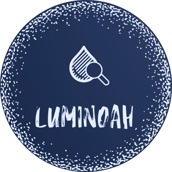 Luminoah logo