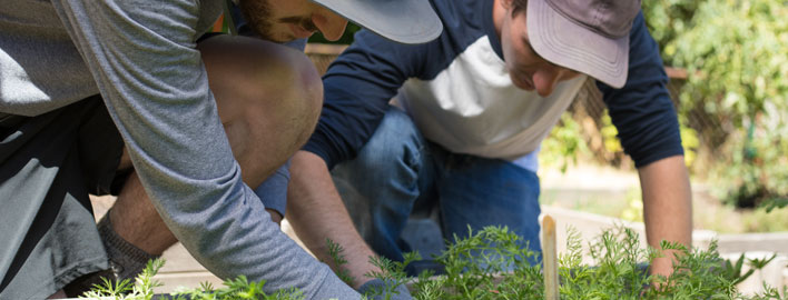 students caring for garden