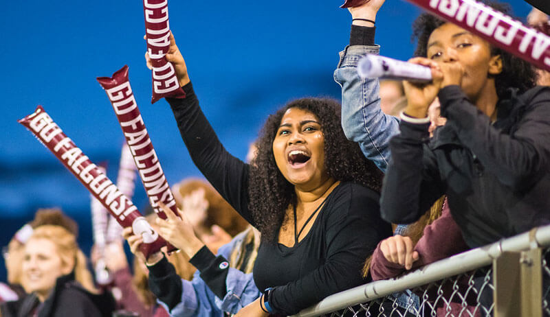 Fans at a soccer game