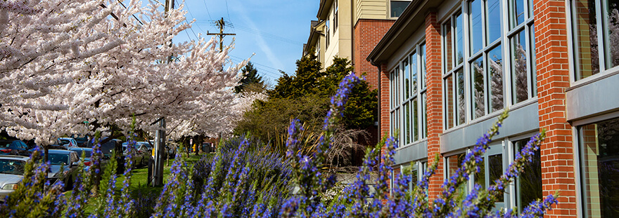 Emerson Hall with spring flowers