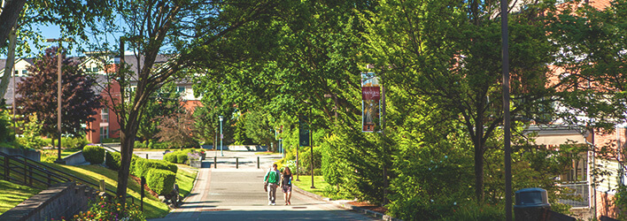 Students walking home after class