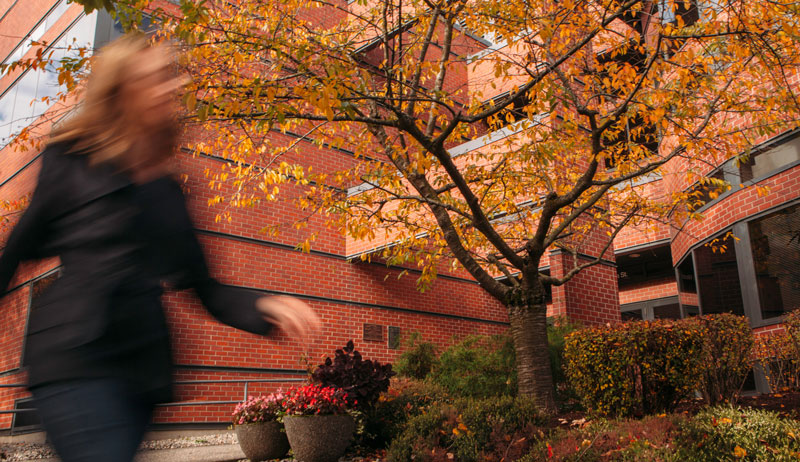 McKenna Hall in the autumn