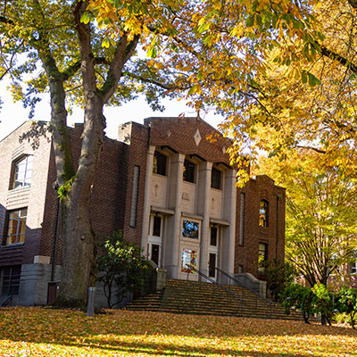 Leaves changing from green to yellow in Tiffany Loop