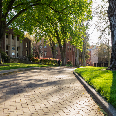 path showing Tiffany Loop and buildings