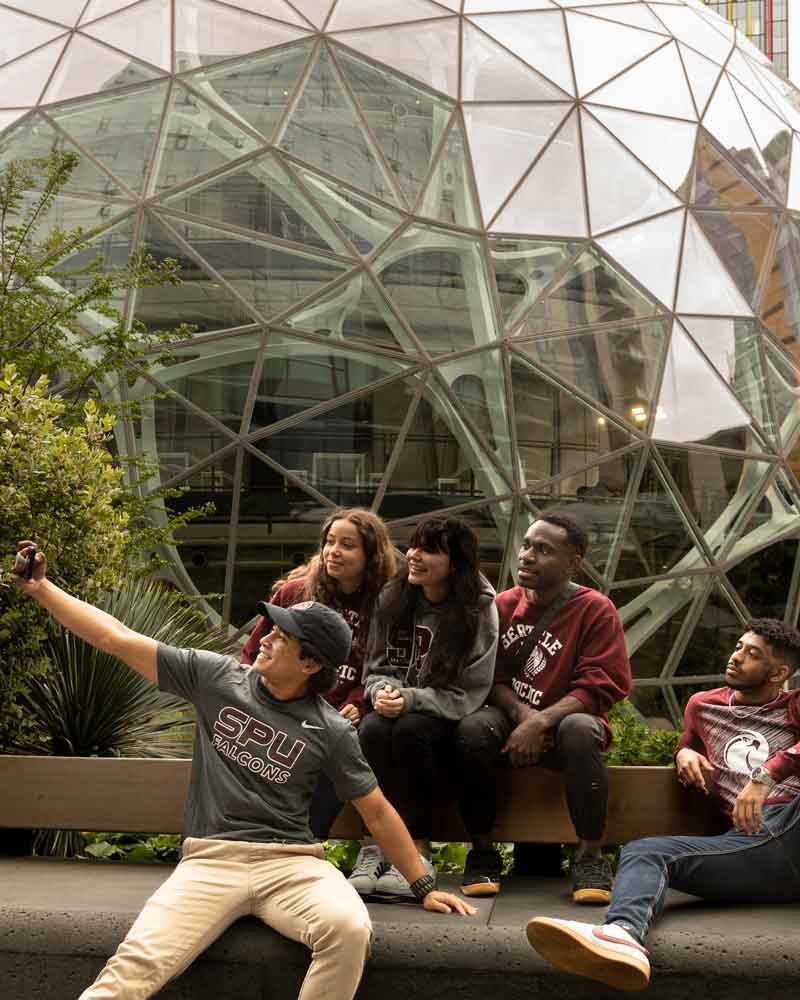 amazon spheres