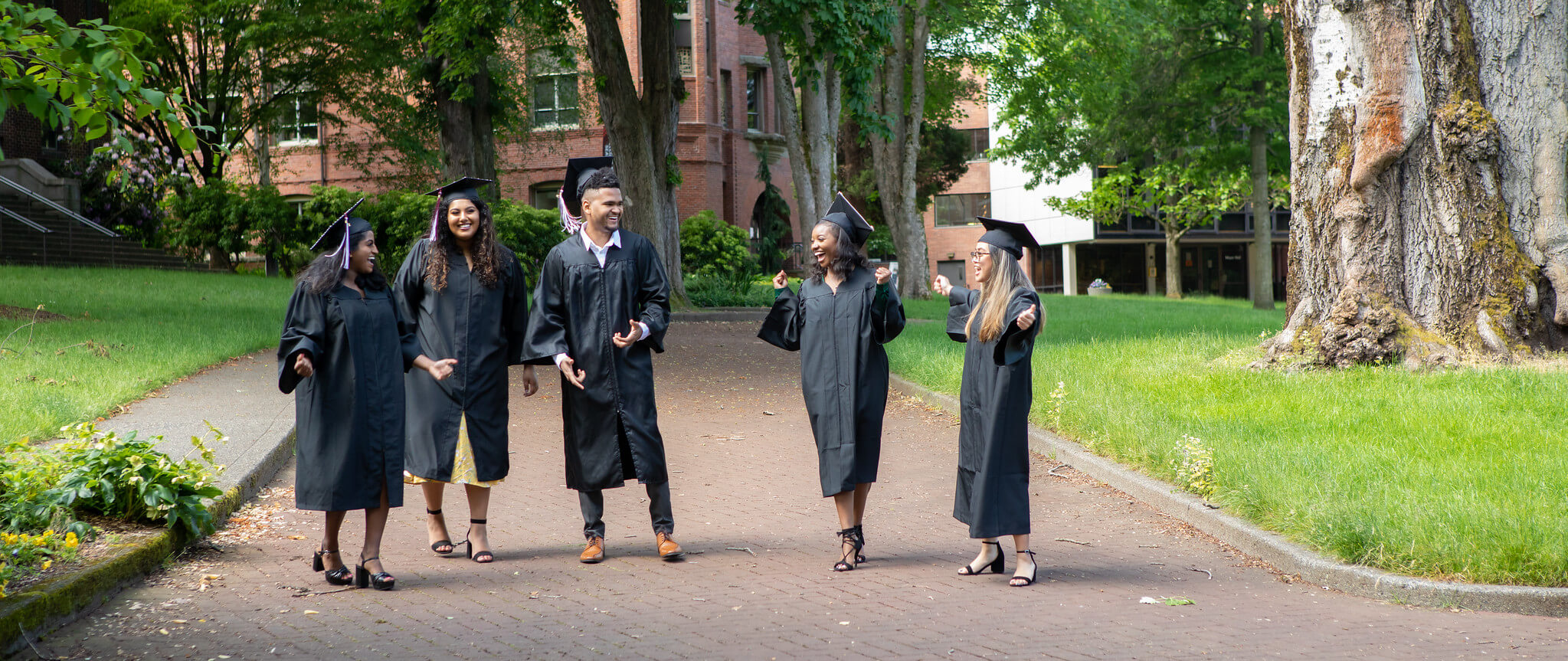 New Grads celebrating in Tiffany Loop